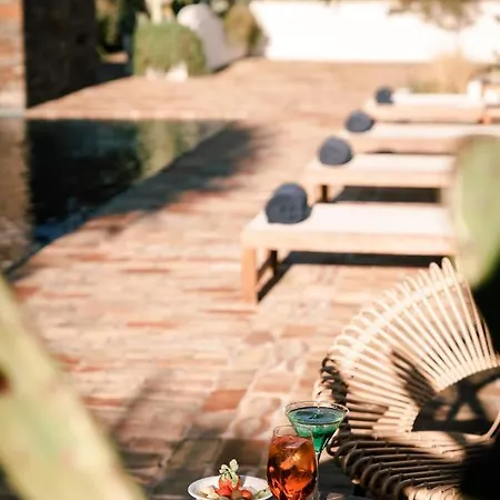 Boutique Gala By Fimedhotels